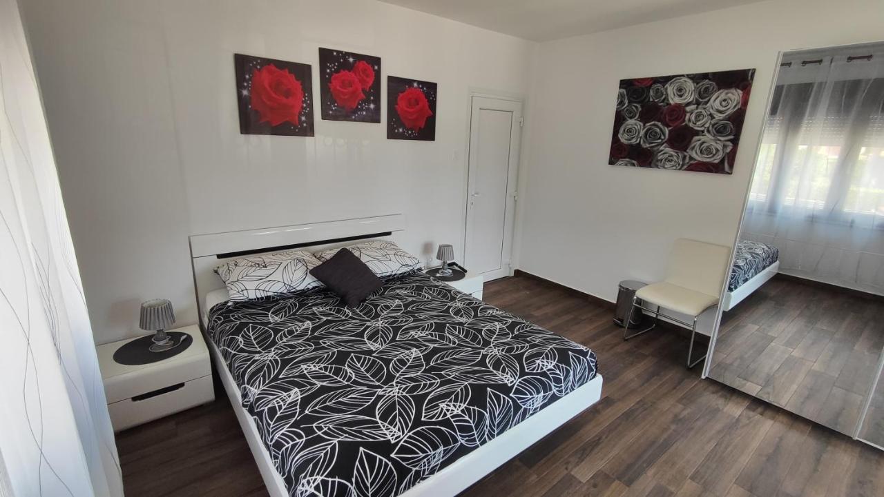 Viktor Rooms And Apartments Rovigno Esterno foto